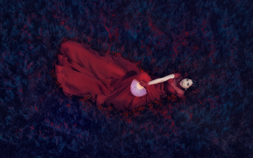 932807 (a): :2560x1600